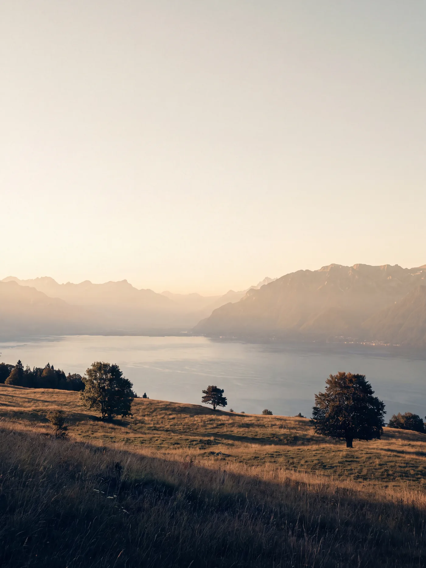 Le lac Léman vu des hauteurs françaises au lever du jour, les Alpes suisses sur la rive d’en face.
